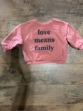 Zara Rose Pink 'Love Means Family' Sweatshirt
